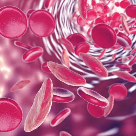 Troponin I Test, Troponin T Test, Blood Test for Heart Attack, cost of Troponin test